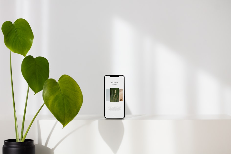 The Art of Minimalist Design